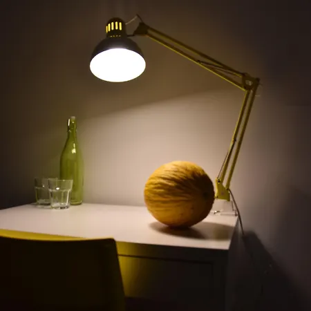 Il Lapino Πανσιόν Παλέρμο