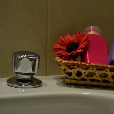 Pensión Il Lapino 3*