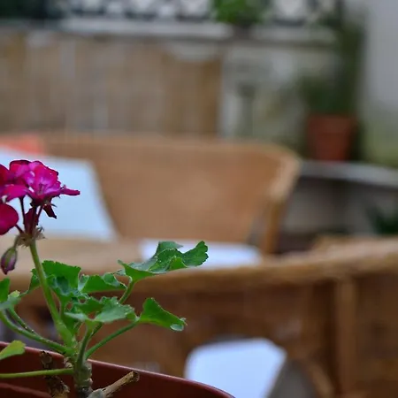 Pensión Il Lapino 3*